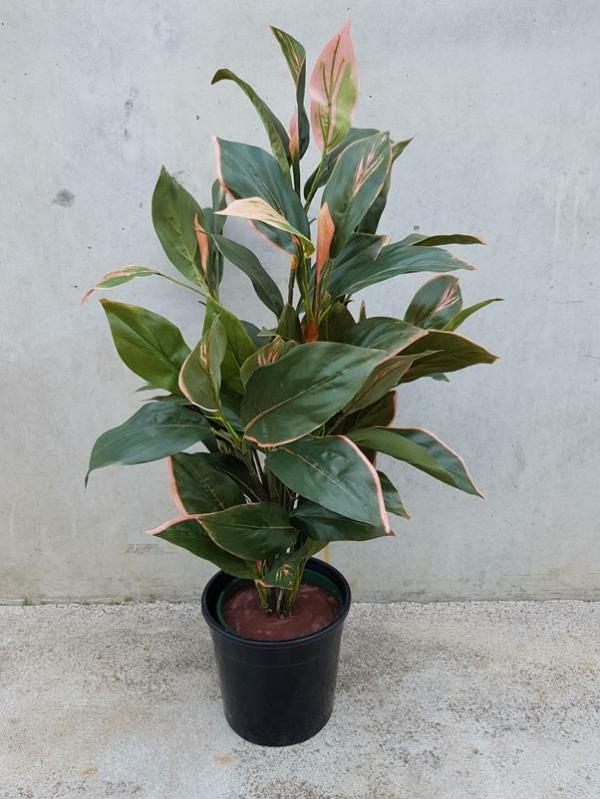 Plants |  Artificial Plant (Pink Cordyline) 90Cm Artificial Plants Plants