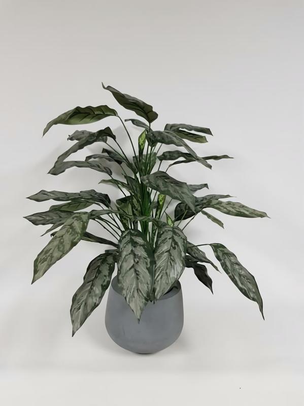 Plants |  Artificial Silver Queen Plant 86Cm Artificial Plants Plants