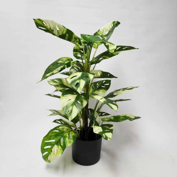 Plants |  Variegated Split Philo Plant 70Cm Artificial Plants Plants