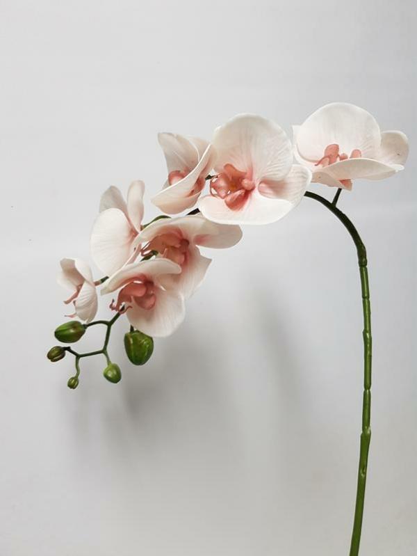 Real Touch Flowers |  Artificial Phalaenopsis Orchid Soft Pink 68Cm Artificial Flowers Orchids