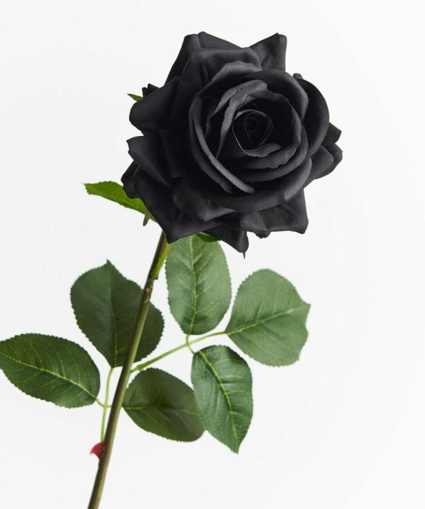 Real Touch Flowers |  Artificial Rose Anna Black 75Cm Artificial Flowers Artificial Roses