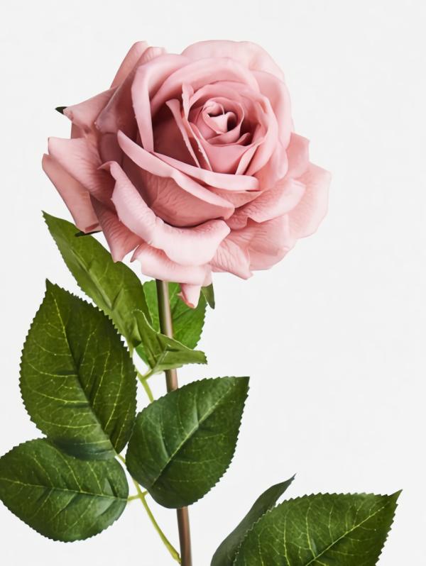 Real Touch Flowers |  Artificial Rose Anna Dusty Pink 75Cm Artificial Flowers Artificial Roses