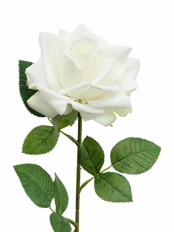 Real Touch Flowers |  Artificial Rose Florence White 50Cm Artificial Flowers Artificial Roses