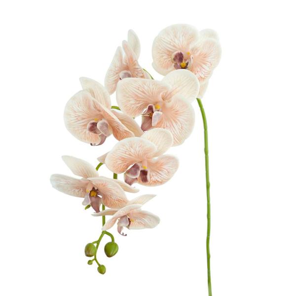 Real Touch Flowers |  Phalaenopsis Orchid Odilia Salmon 96Cm Artificial Flowers Orchids