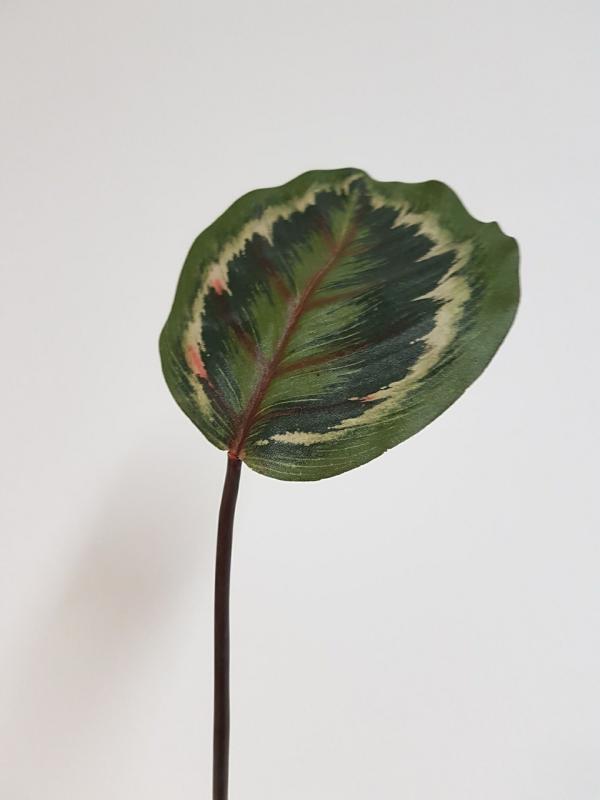 Single Leaf |  Peacock Leaf Green/Burg Artificial Greenery Leaves & Foliage