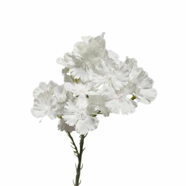 Spring Flowers |  Artificial Dianthus Flower Spray 66Cm White Artificial Flowers Spring Flowers