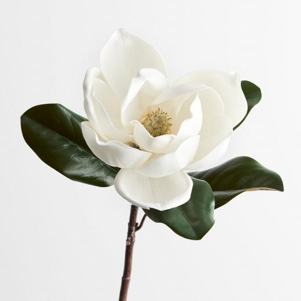 Spring Flowers |  Artificial Magnolia Flower White 73Cm Artificial Flowers Spring Flowers