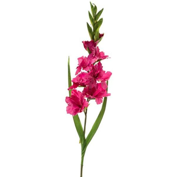 Spring Flowers |  Gladdy Long Stem Fushia 93Cm Artificial Flowers Spring Flowers