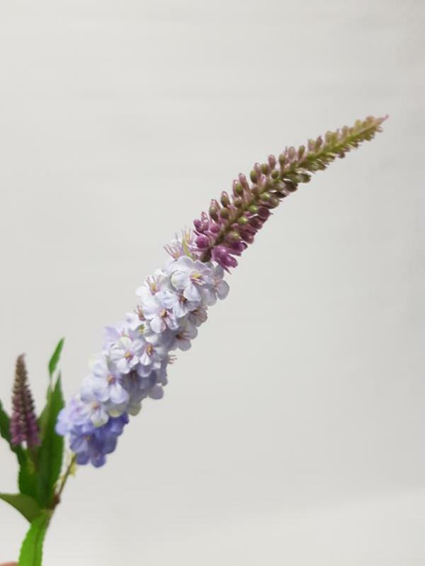 Spring Flowers |  Veronica Spray Mauve Artificial Flowers Spring Flowers