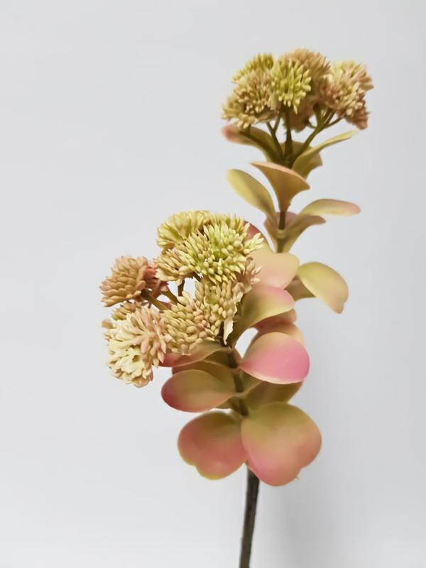 Succulents & Cacti |  Artificial Sedum Pink Brown 55Cm Artificial Greenery Succulents & Cacti