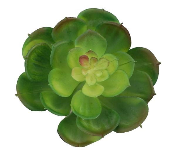 Succulents & Cacti |  Succulent Aeonium Shades Of Green 12Cm Artificial Greenery Succulents & Cacti