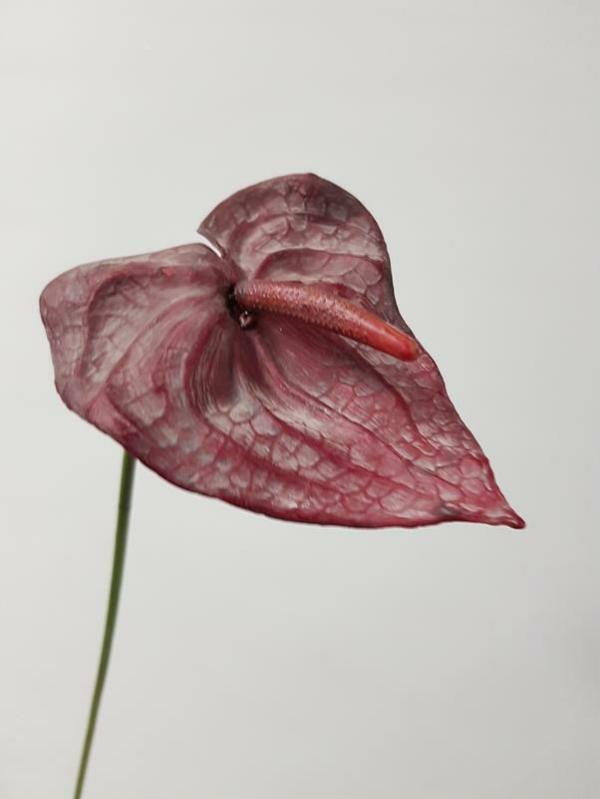 Tropical Flowers |  Anthurium Lily Flower Burgundy 79Cm Artificial Flowers Tropical Flowers