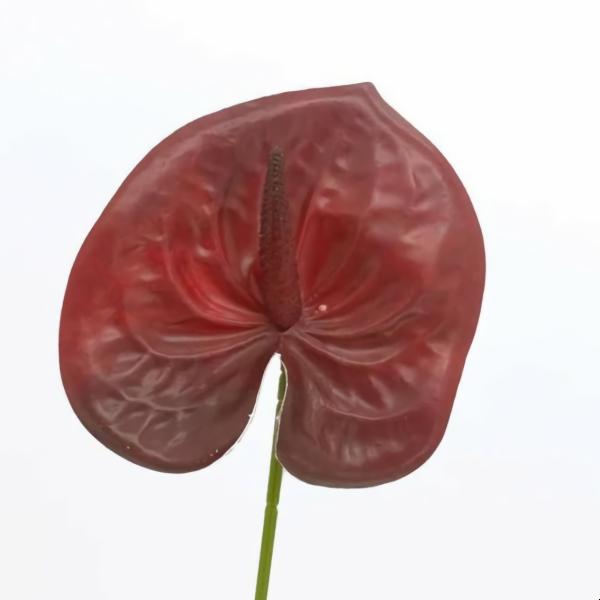 Tropical Flowers |  Anthurium Lily Flower Dark Red 60Cm Artificial Flowers Tropical Flowers