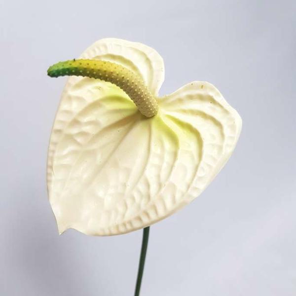 Tropical Flowers |  Artificial Anthurium Cream 60Cm Artificial Flowers Tropical Flowers