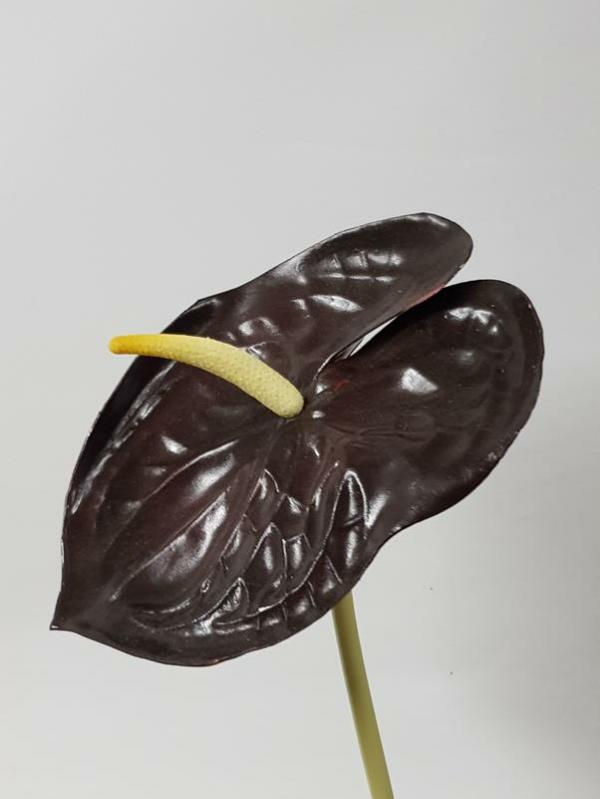 Tropical Flowers |  Artificial Anthurium Eggplant 52Cm Artificial Flowers Tropical Flowers