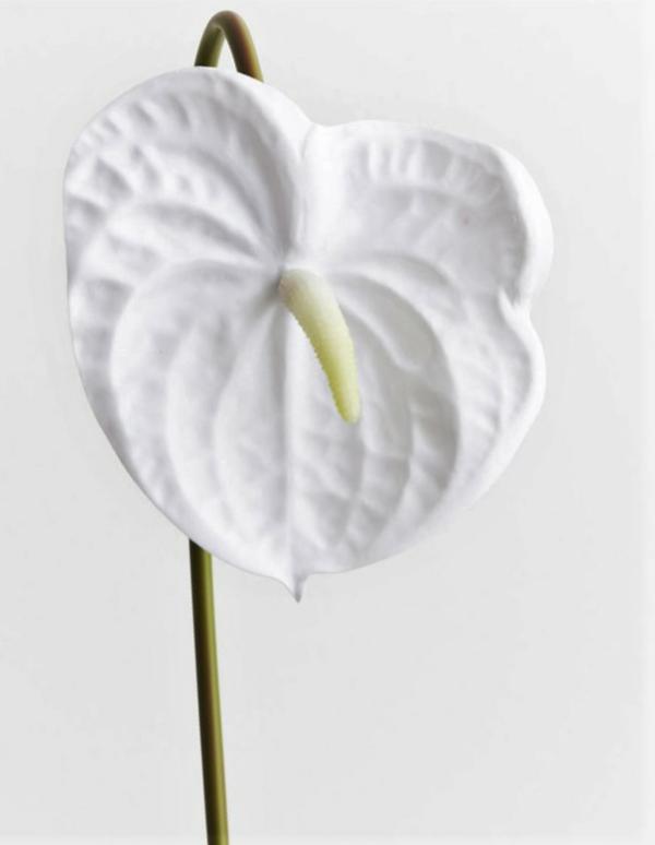 Tropical Flowers |  Artificial Anthurium Pure White 58Cm Artificial Flowers Tropical Flowers