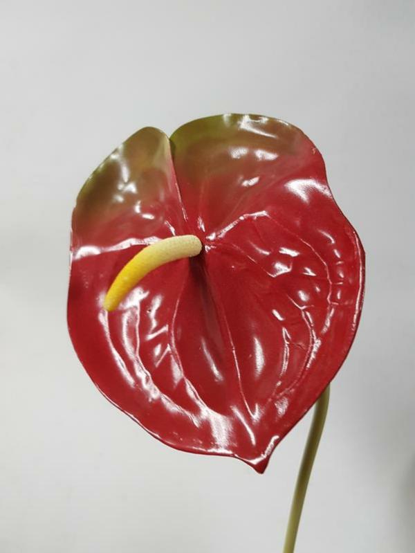 Tropical Flowers |  Artificial Anthurium Red 52Cm Artificial Flowers Tropical Flowers