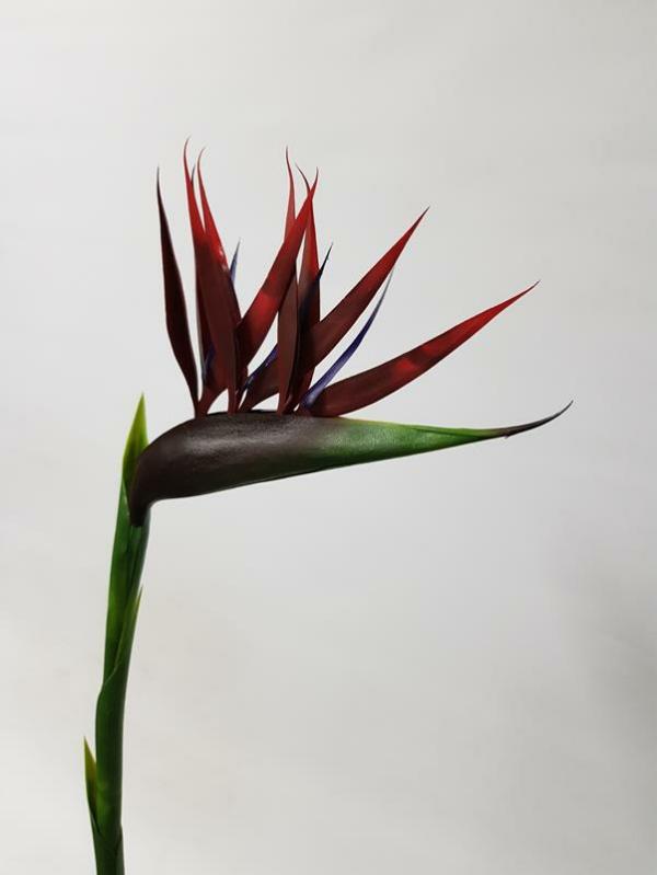 Tropical Flowers |  Artificial Bird Of Paradise Red 85Cm Artificial Flowers Tropical Flowers