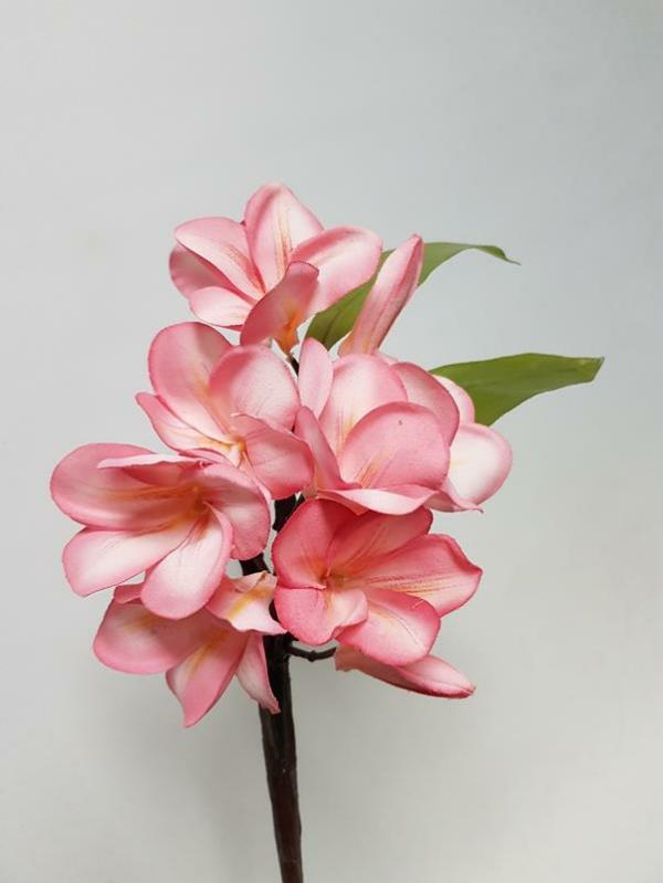 Tropical Flowers |  Artificial Frangipani Stem Pink 39Cm Artificial Flowers Tropical Flowers