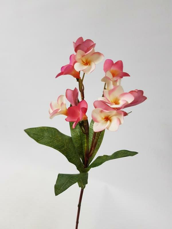 Tropical Flowers |  Artificial Frangipani Stem Pink Peach 60Cm Artificial Flowers Tropical Flowers