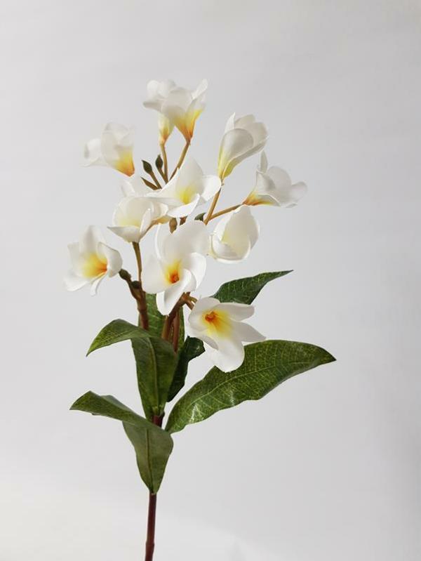 Tropical Flowers |  Artificial Frangipani Stem White 60Cm Artificial Flowers Tropical Flowers