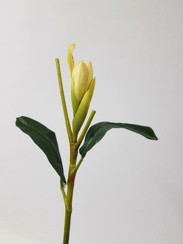 Tropical Flowers |  Artificial Heliconia Bud Cream 72Cm Artificial Flowers Tropical Flowers