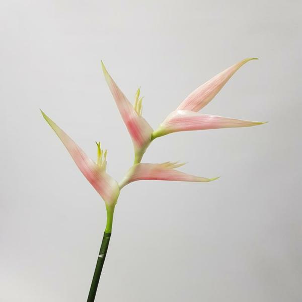 Tropical Flowers |  Artificial Heliconia Flower Pink 74Cm Artificial Flowers Tropical Flowers