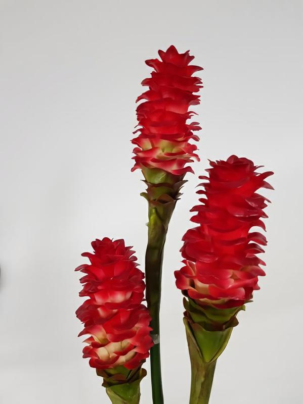 Tropical Flowers |  Ginger Flower Stem Red Artificial Flowers Tropical Flowers