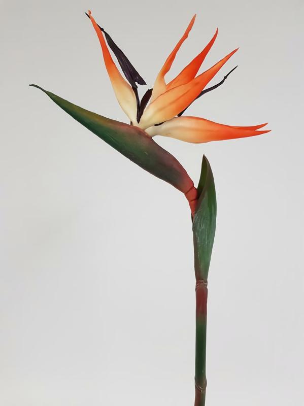 Tropical Flowers |  Real Touch Bird Of Paradise 80Cm Artificial Flowers Tropical Flowers