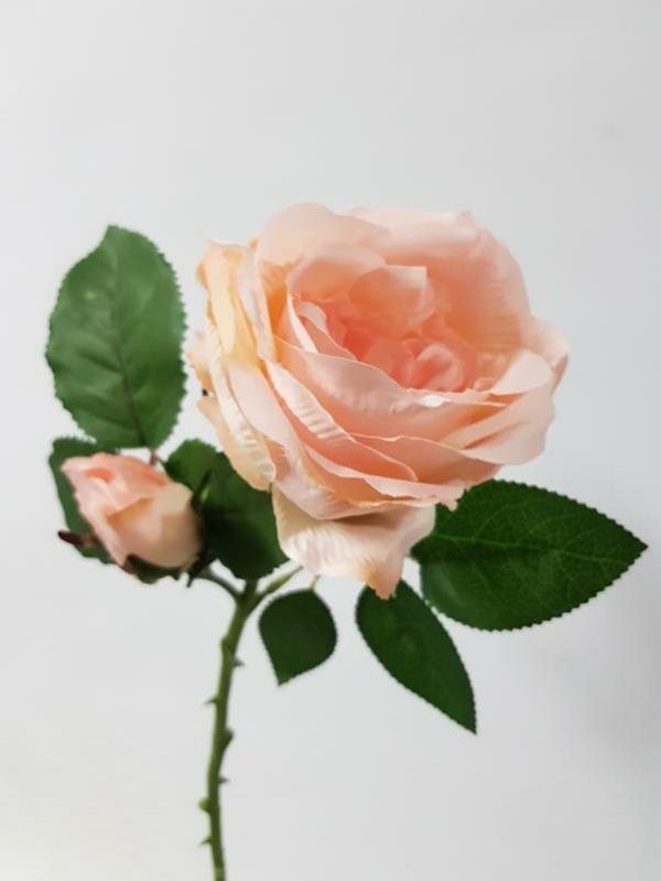 Artificial Roses |  David Austin Rose Budget Bloom Pale Peach Artificial Flowers Artificial Roses