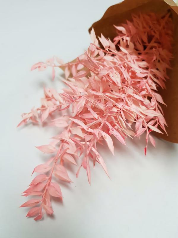 Dried Flowers |  Dried Preserved Italian Ruscus Bright Pink Artificial Flowers Dried Flowers