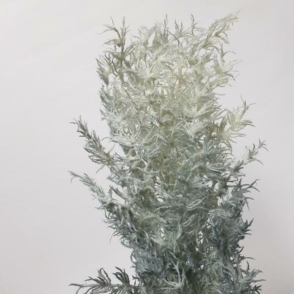 Dried Flowers |  Fluffy Ming Plume Steel Blue 98Cm Artificial Flowers Dried Flowers