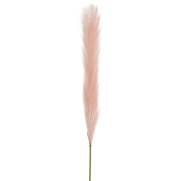 Dried Flowers |  Silky Pampas Stem Baby Pink 70Cm Artificial Flowers Dried Flowers