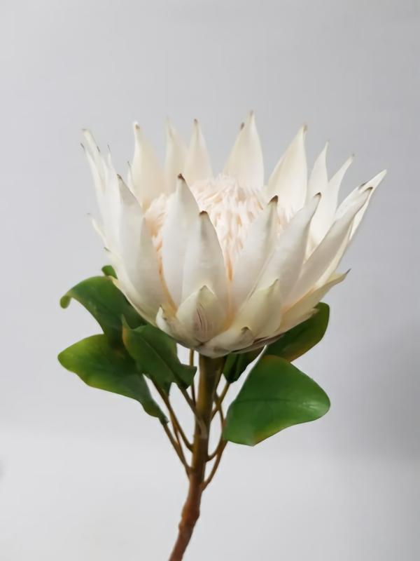 Native Flowers |  Artificial King Protea Cream 73Cm Artificial Flowers Native Flowers