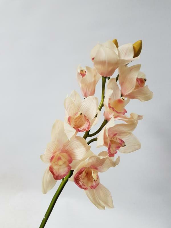 Orchids |  Cymbidium Orchid Cream Pink 72Cm Artificial Flowers Orchids