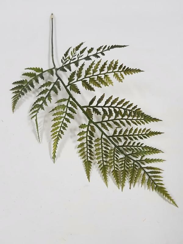 Ferns |  Artificial Forrest Fern 60Cm Artificial Greenery Ferns