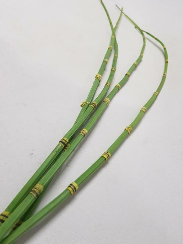 Grass And Reeds |  Artificial Bamboo Shoot 120Cm Artificial Greenery Grass And Reeds