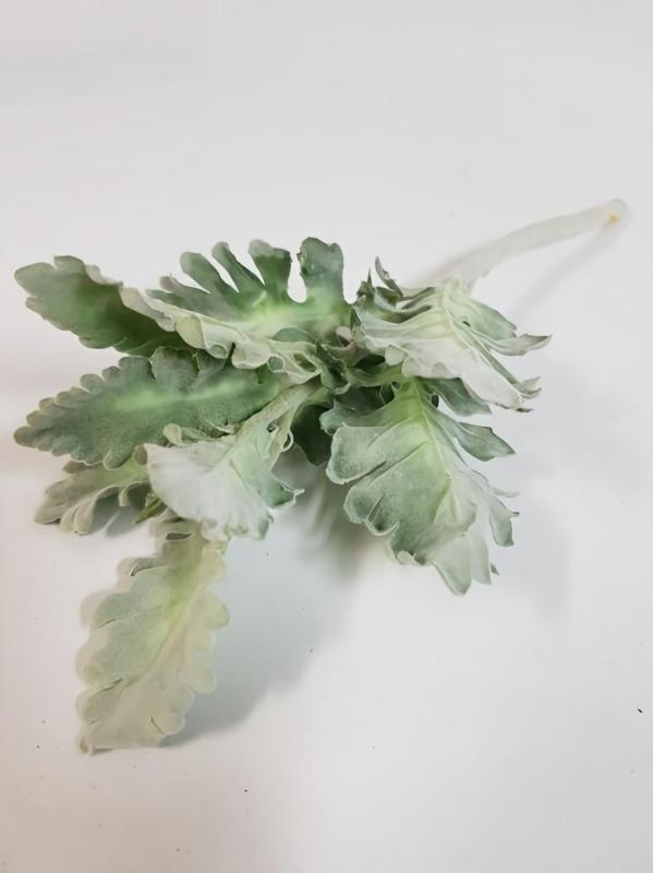 Leaves & Foliage |  Artificial Dusty Miller 37Cm Artificial Greenery Leaves & Foliage