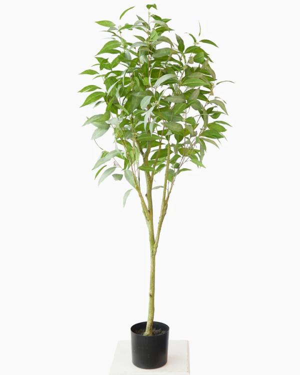 Plants |  Artificial Eucalyptus Tree 158Cm Artificial Plants Plants