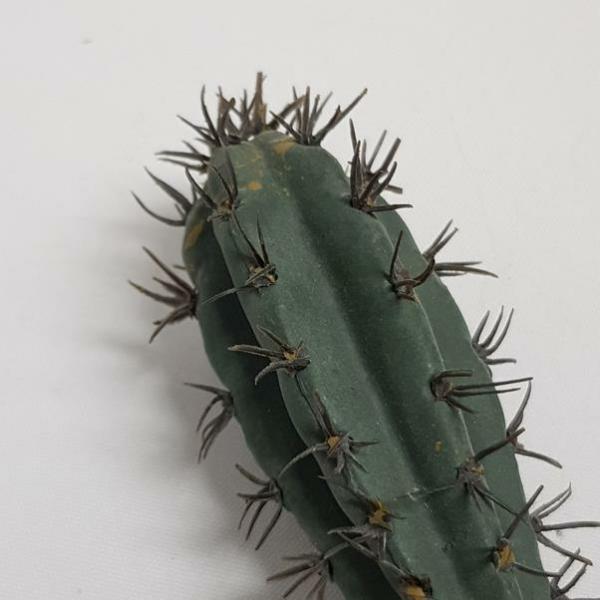 Succulents & Cacti |  Artificial Saguaro Cactus Grey 13Cm Artificial Greenery Succulents & Cacti