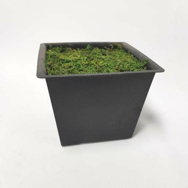 Diy Making |  Diy Ready Made Flower Pot With Moss (Black) Diy Making Diy Making